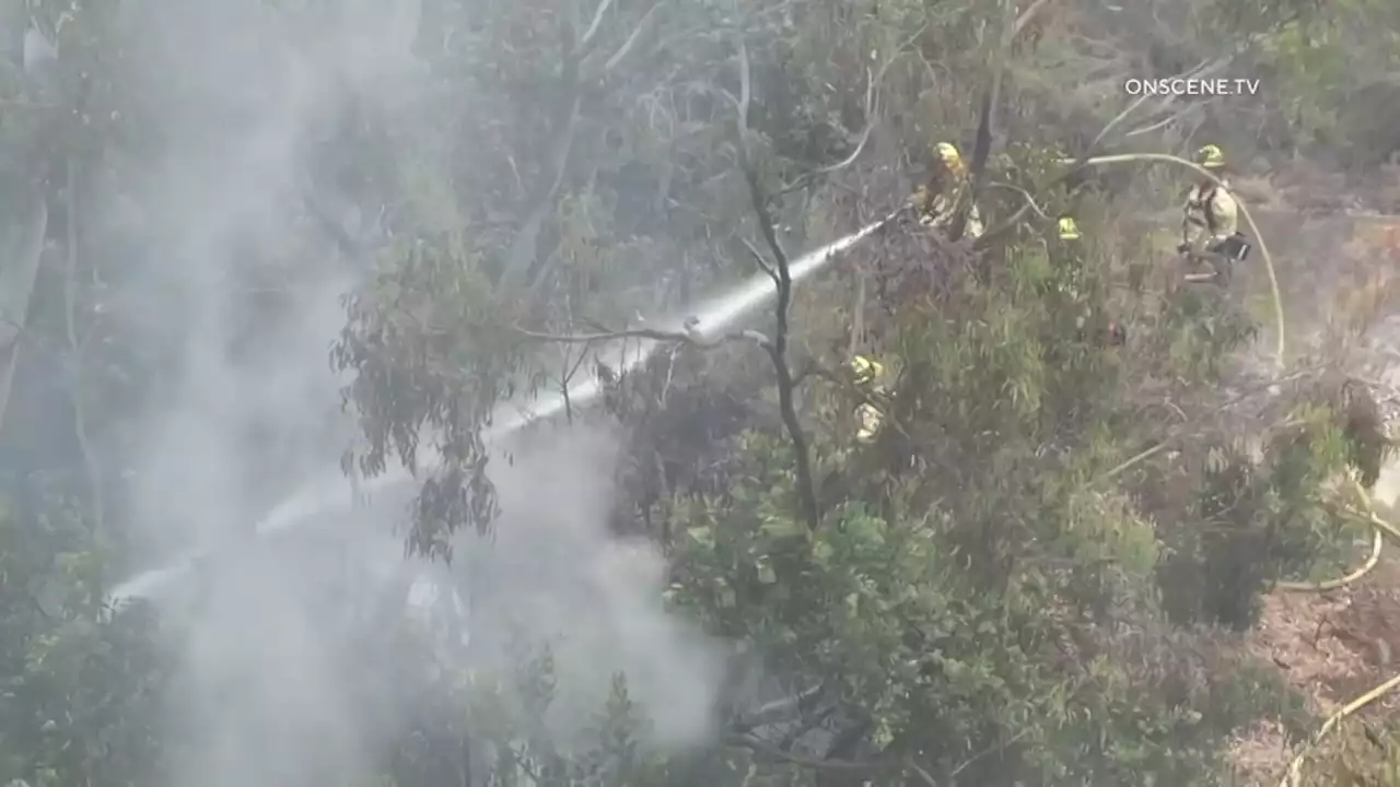 San Diego Police Arrest Man Suspected of Starting a Brush Fire in Linda Vista