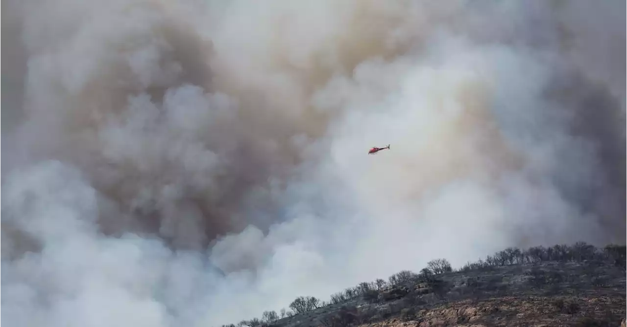 Spain battles wildfires as it swelters in heatwave