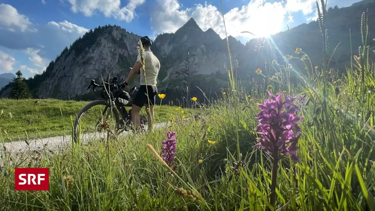 Fahrt über Stock und Stein - Wie Sie die beste Veloroute finden