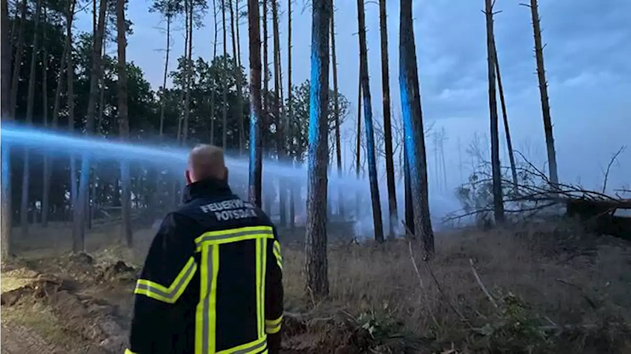 Waldbrand bei Treuenbrietzen wieder außer Kontrolle