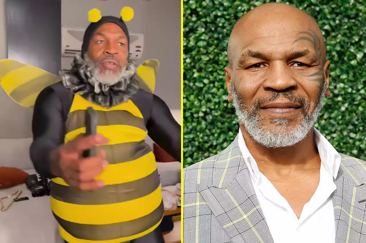 ‘I’m feeling beautiful’ - Boxing legend Mike Tyson sings and dances in bee costume ahead of Jimmy Kimmel appearance