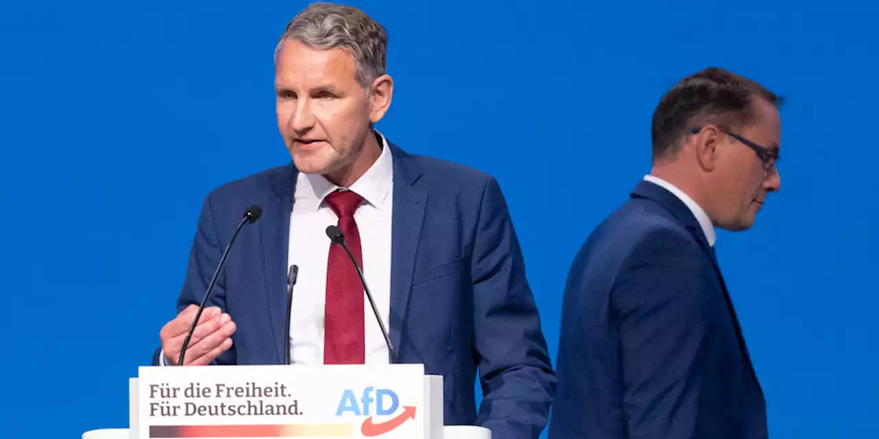 AfD-Bundesparteitag in Riesa: Das Prinzip Höcke