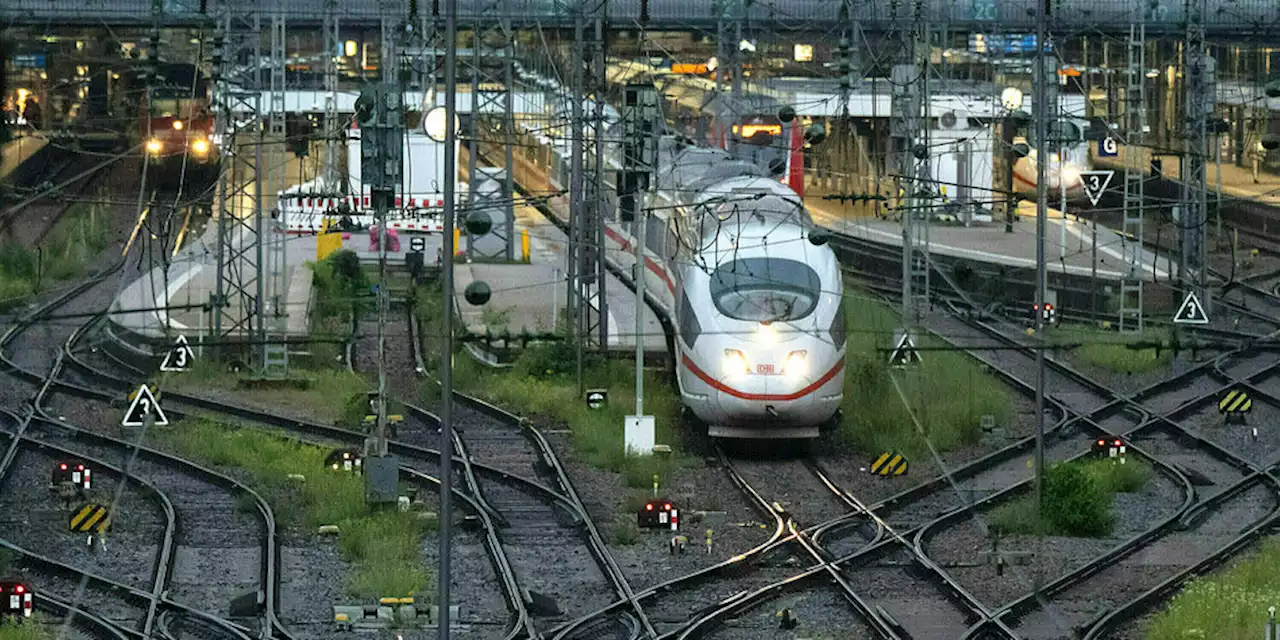 Tote Taube am Münchner Hauptbahnhof: Unterlassene Hilfeleistung