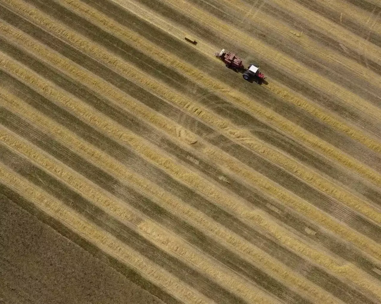 Ontario losing farmland at fast rate amid urban sprawl: provincial agriculture group