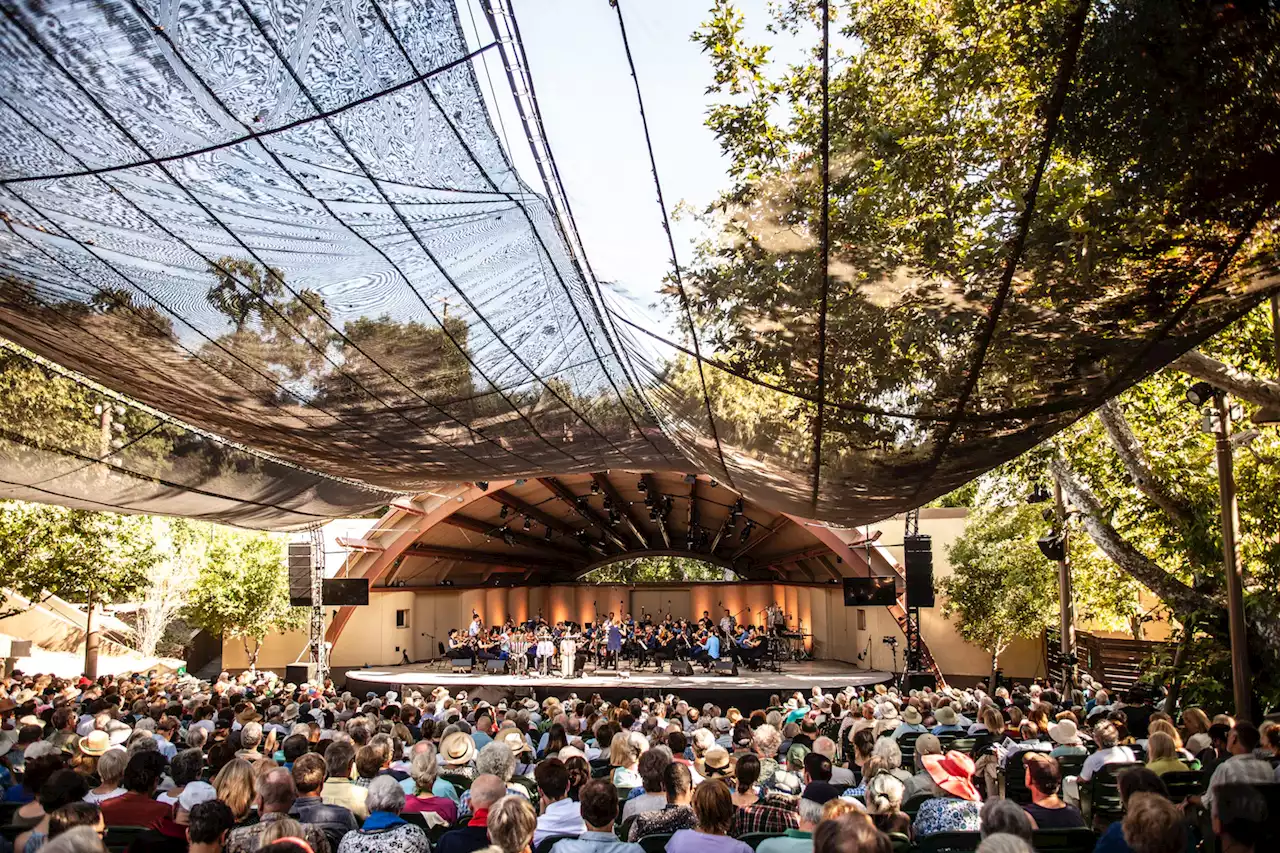 Toasting to classical music under the stars