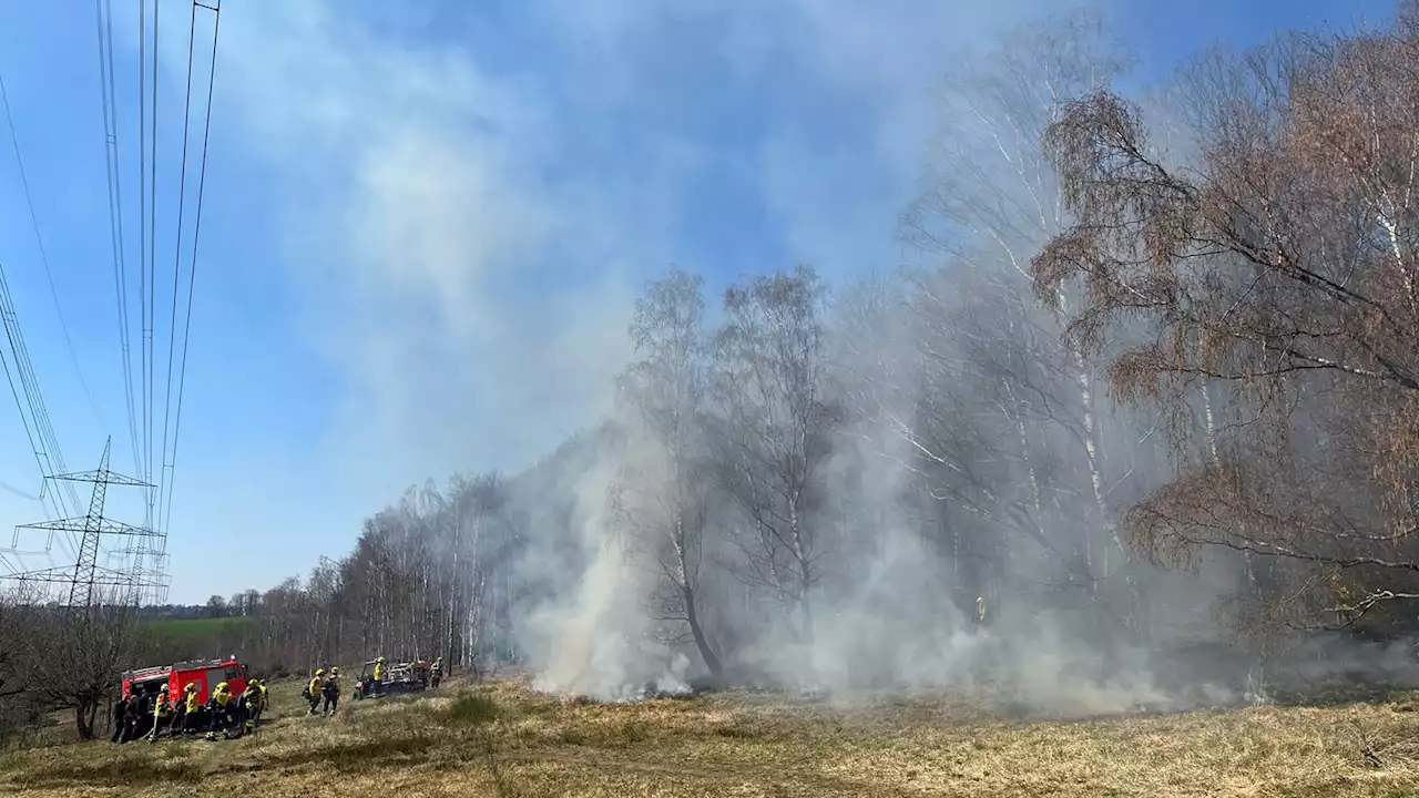 Wegen Hitzewelle: So hoch ist die Waldbrandgefahr in NRW