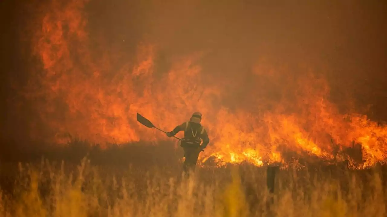 Spain, Germany battle wildfires amid unusual heat wave