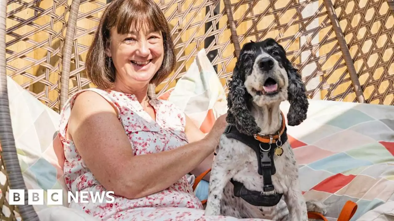 ‘I foster dogs so people can escape domestic abuse’