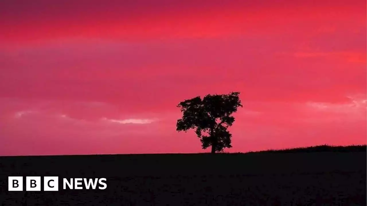 Spectacular pink and orange sunset lights up sky