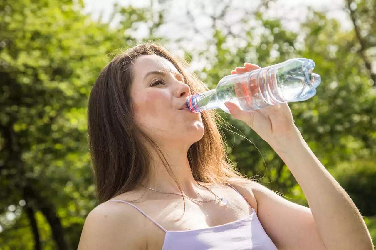 Lebensgefahr durch Hitze: Ab dieser Temperatur kann es tödlich werden