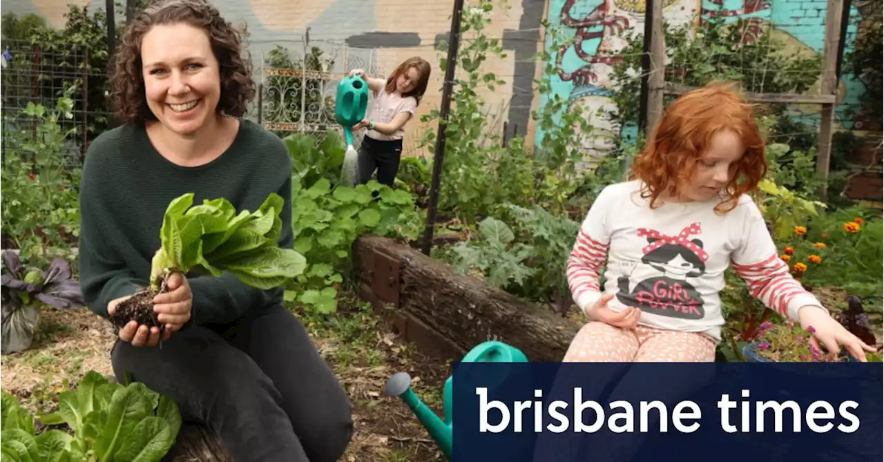 ‘I bring my sister a bag of lettuce’: The gardeners avoiding outrageous prices