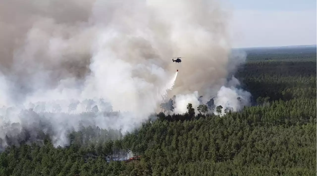 Wasser-Hubschrauber und 750 Feuerwehrmänner im Einsatz in Brandenburg - B.Z. – Die Stimme Berlins