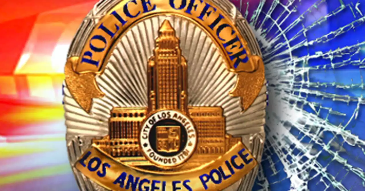 Naked Hollywood man dances on top of LAPD patrol car