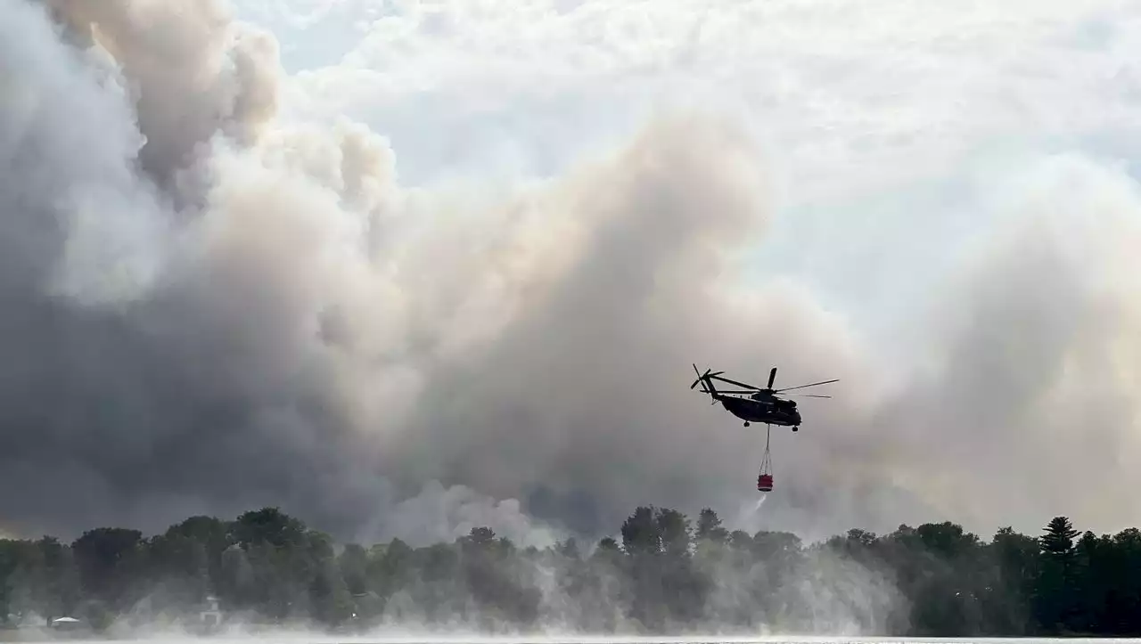 Waldbrand in Treuenbrietzen: Hunderte müssen ihre Häuser verlassen