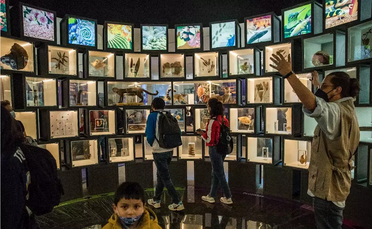 UNAM: Pabellón Nacional de la Biodiversidad: Todo lo que debes saber sobre el nuevo museo