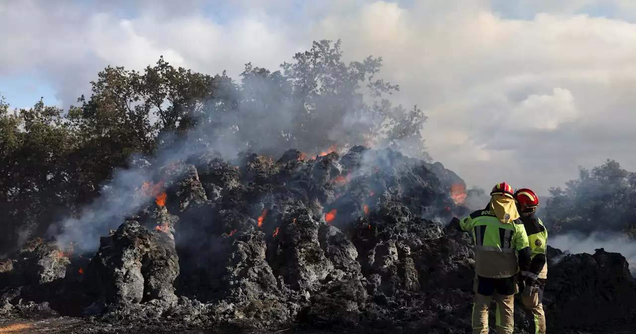 Ventos de grande intensidade regressam esta tarde ao incêndio em Zamora, na fronteira com Portugal