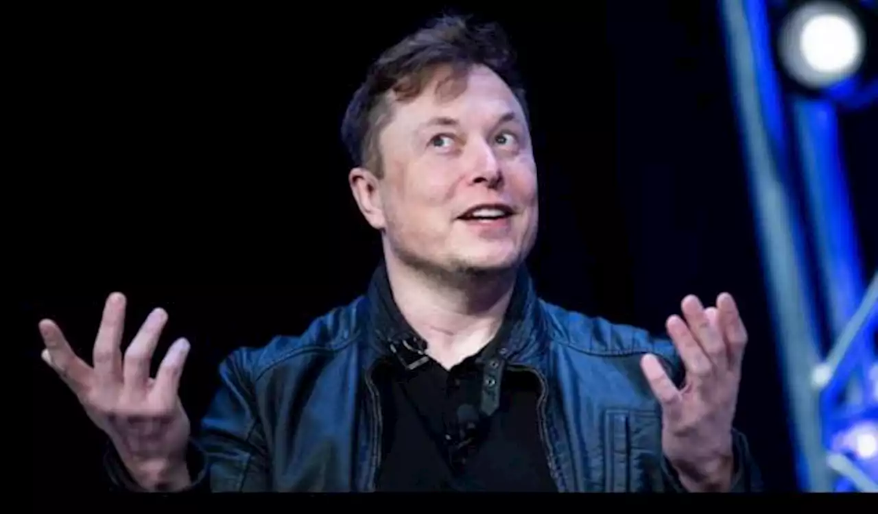 Meski Bitcoin Masih Merah, Elon Musk: Saya akan Tetap Mendukung Dogecoin