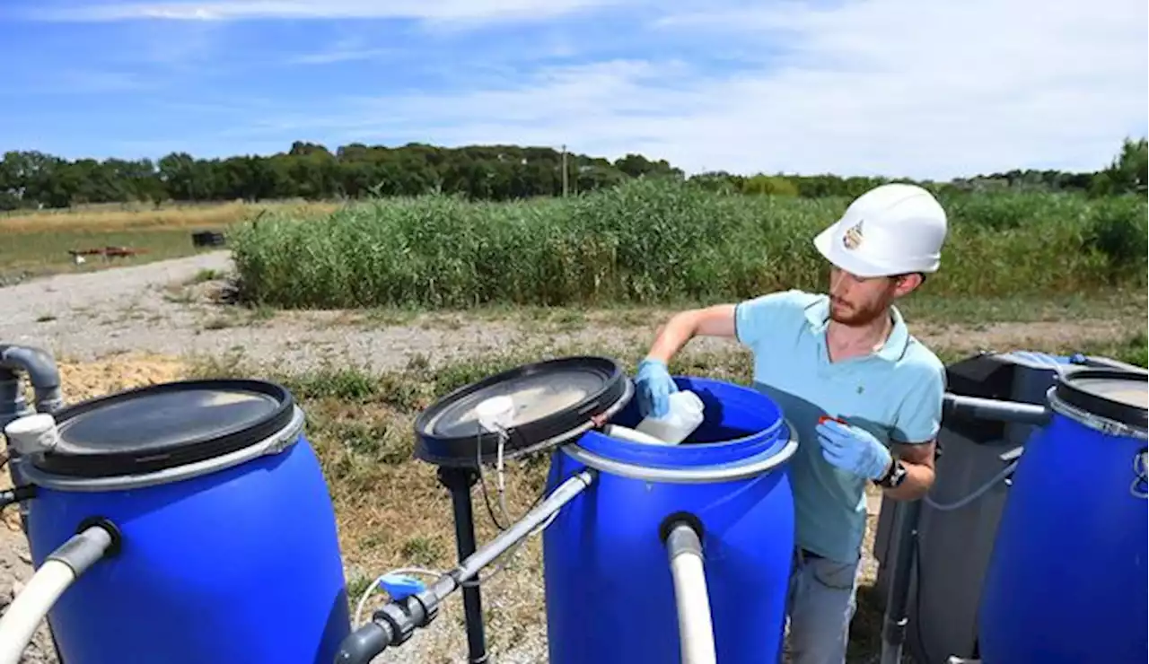 Des égouts au robinet : réutiliser les eaux usées, une solution face à la sécheresse ?