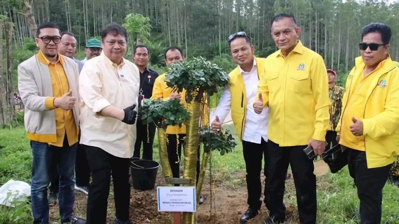 Airlangga Tanam Beringin di Titik Nol, Tanda Dukungan Golkar atas Pembangunan IKN