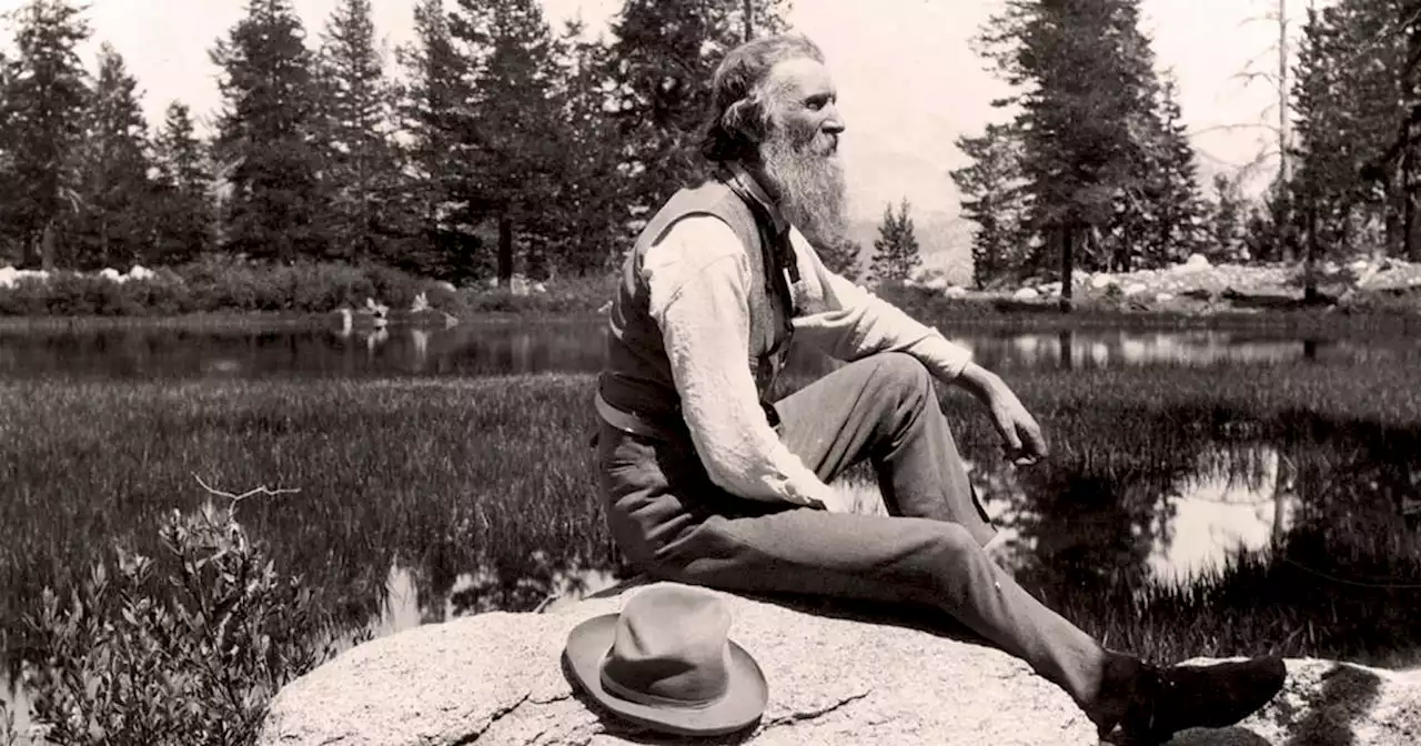 « John Muir donne envie de partir, à pied, à travers bois »
