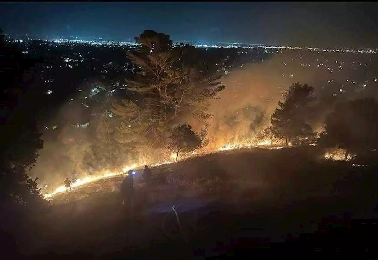 Overnight fire near Sheffield Village in Oakland burns 2.5 acres