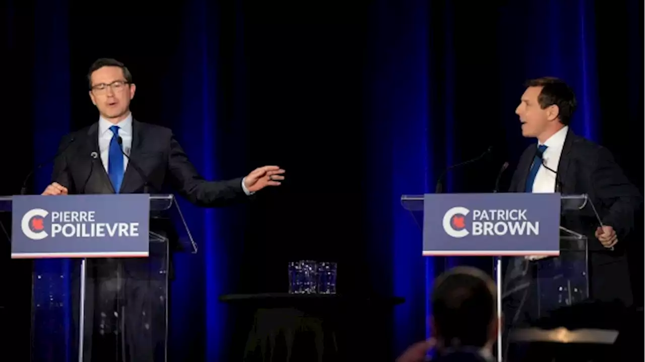 Poilievre accusations an attempt to distract from crypto plunge: Brown