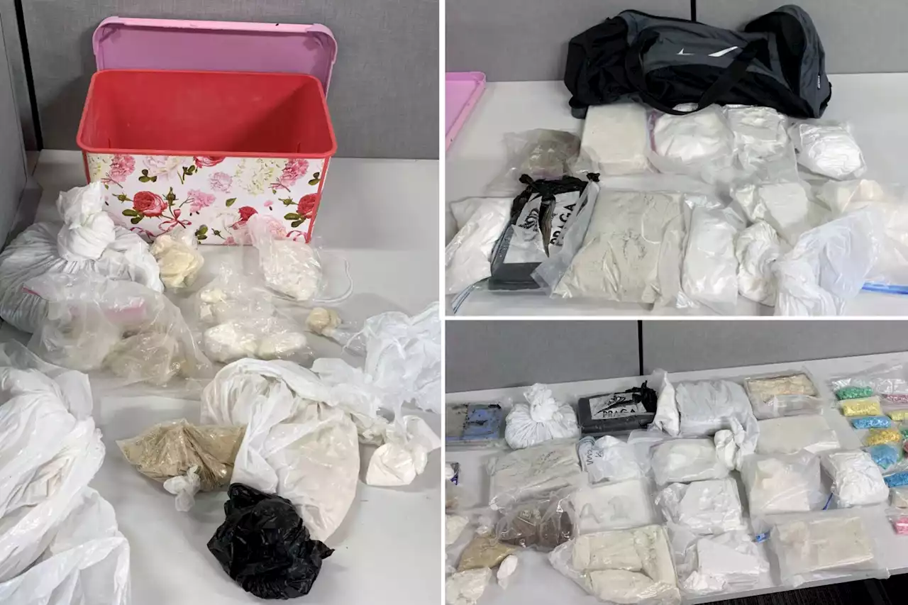 Major drug trafficker, 12 others arrested in citywide drug bust