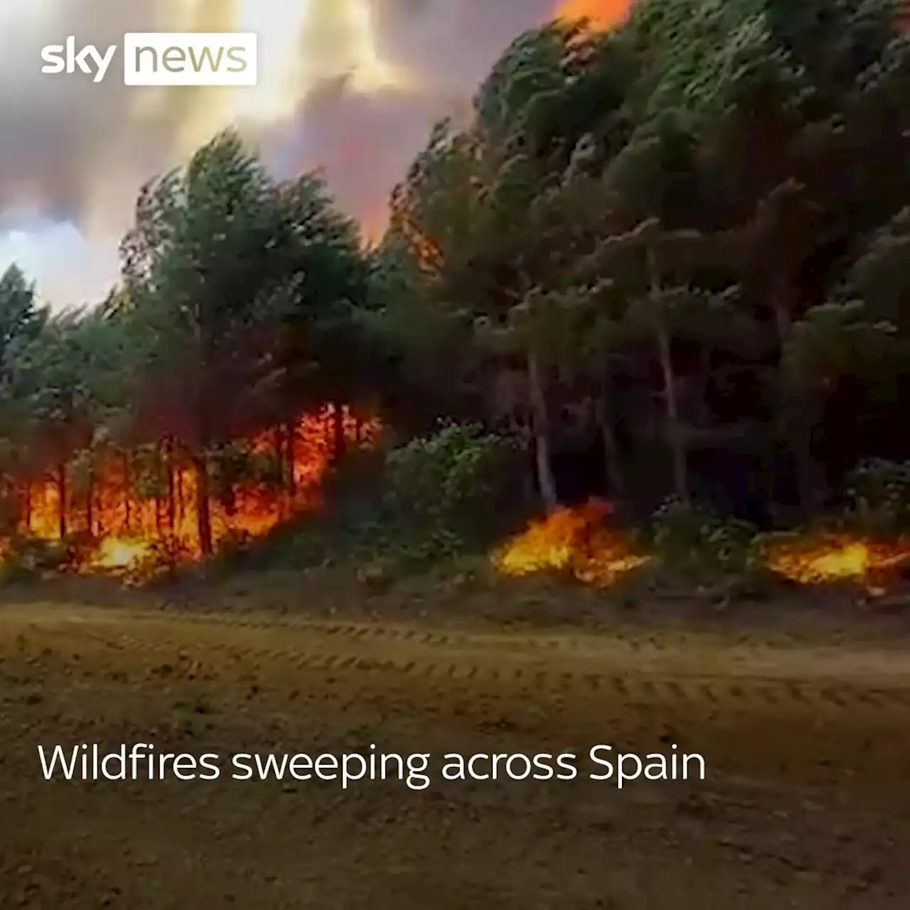 Firefighters battle wildfires across Spain amid heatwave with temperatures reaching over 40C