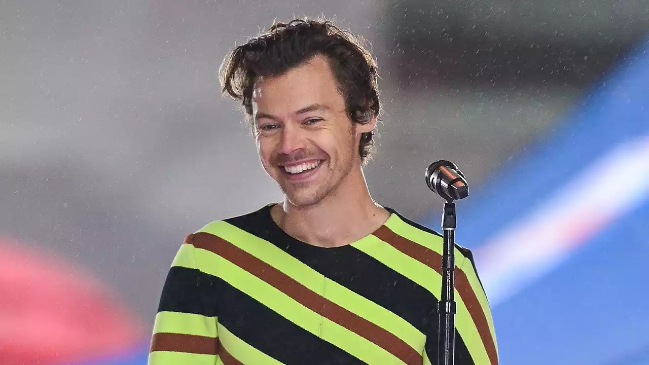 Harry Styles Thinks a 1D Reunion Sounds “Really Nice”