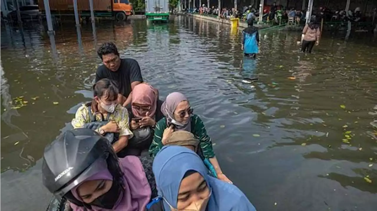 Sepanjang 2022 Wilayah Pantura Alami Banjir Rob, Apa Penyebabnya? - Tekno Tempo.co