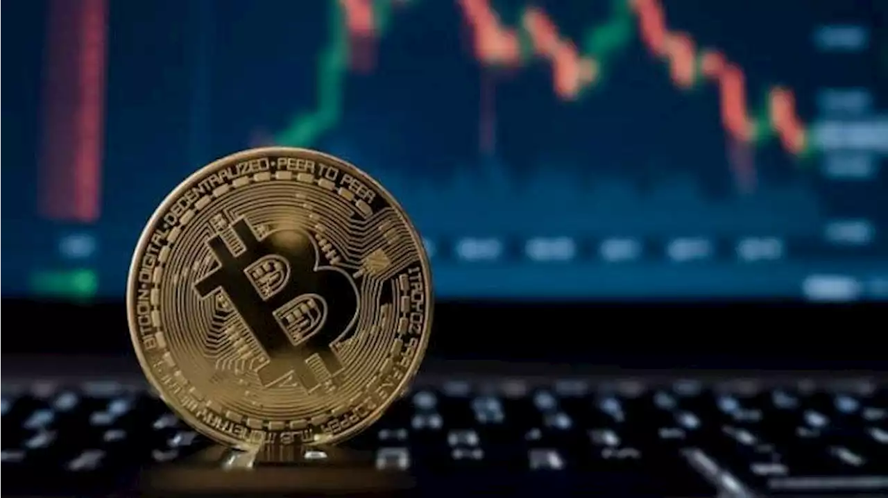 Harga Bitcoin Anjlok, Nilainya Merosot ke Bawah 20.000 Dolar AS - Tribunnews.com