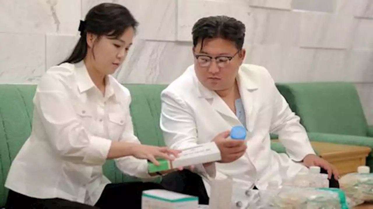 North Korea dispatches medical team to fight intestinal disease