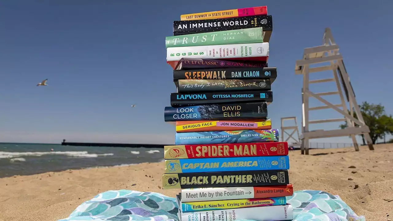 Summer book roundup: More than 30 picks for the season