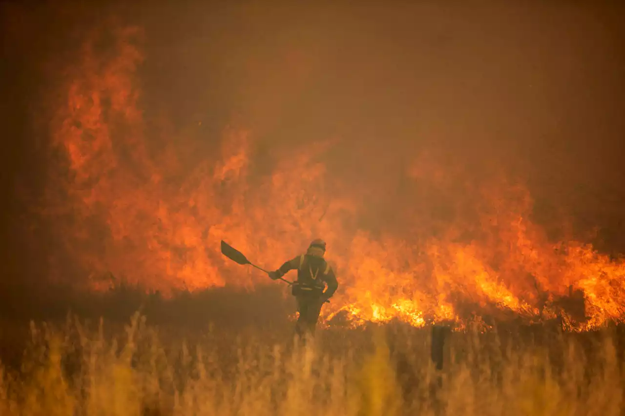 Spain, Germany battle wildfires amid unusual heat wave