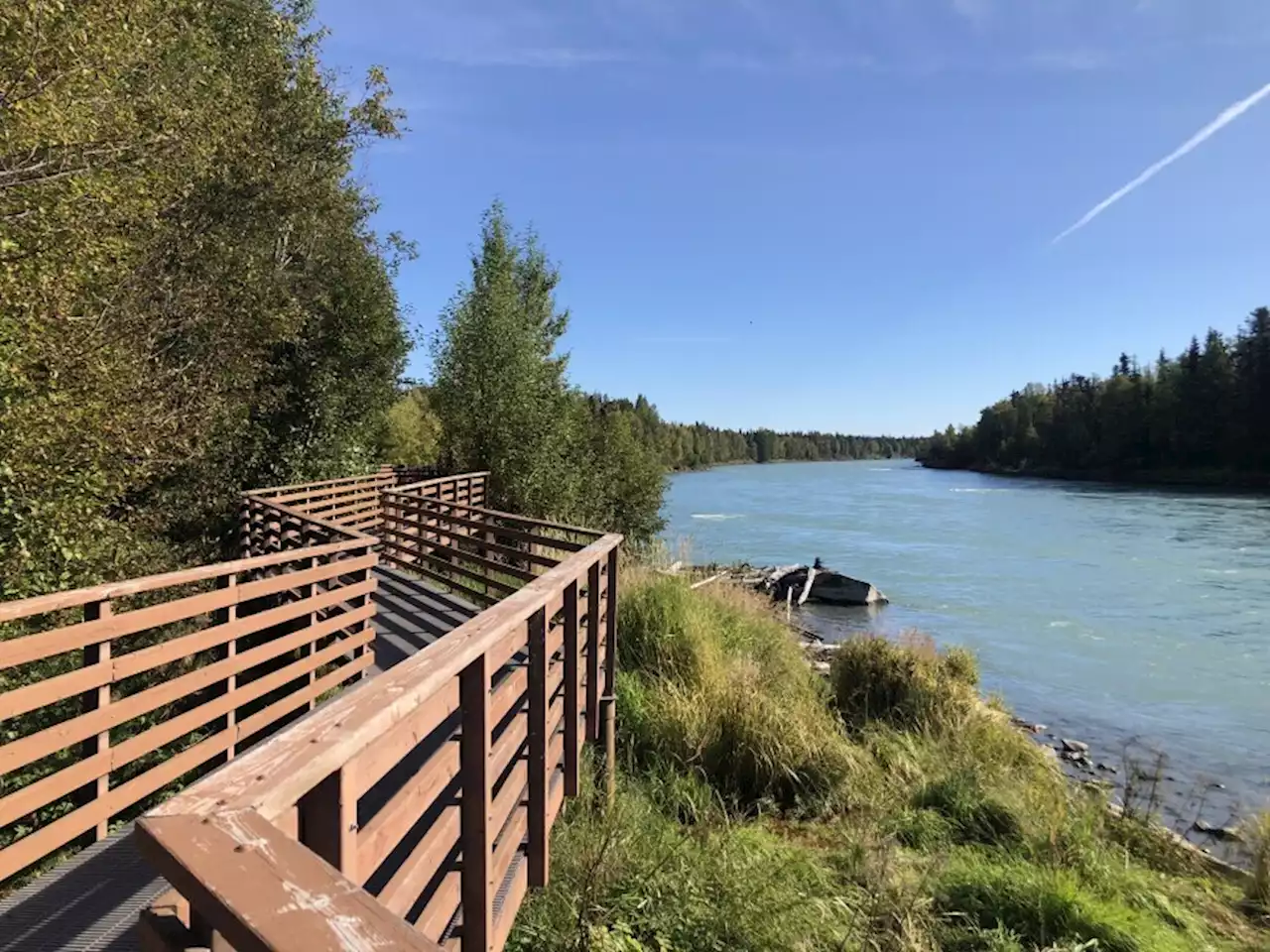 No king retention on the Kenai River this summer - Alaska Public Media