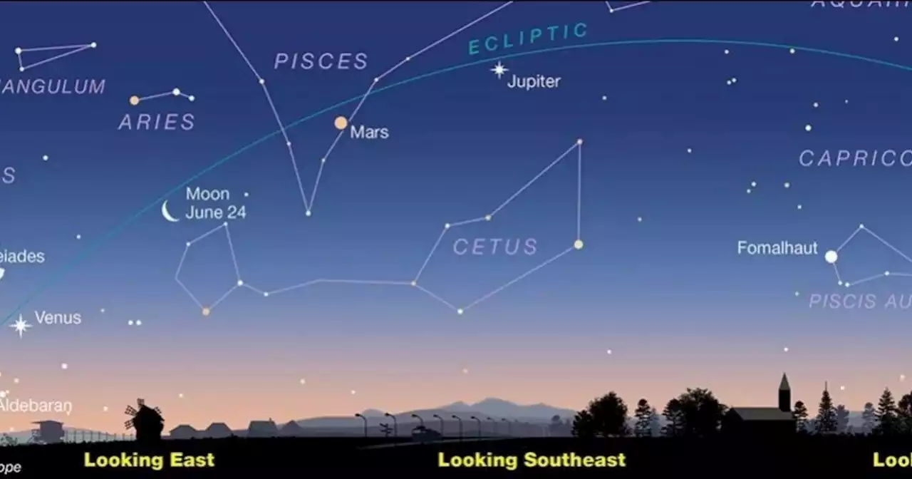 Cinco planetas se alinearán en el cielo y se los observará a simple vista