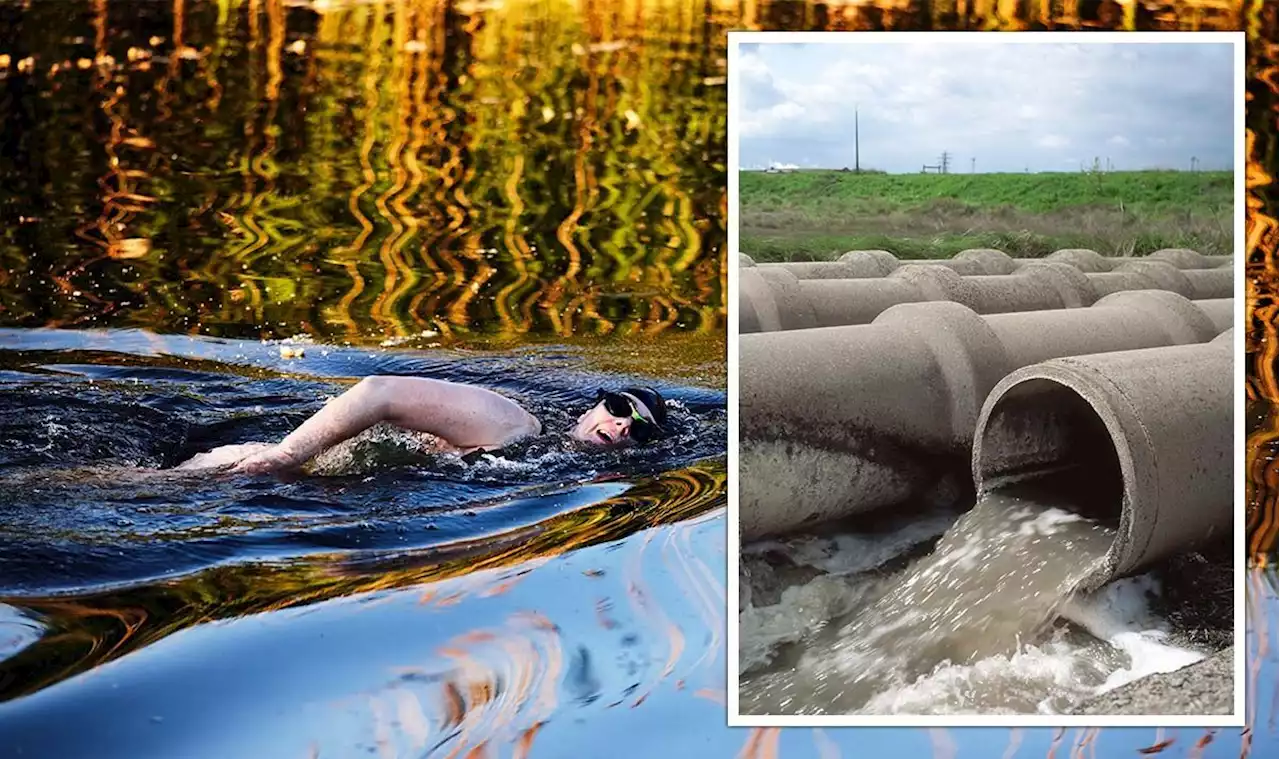 UK water horror: Hundreds of swimmers falling ill as sewage pumped into seas and rivers