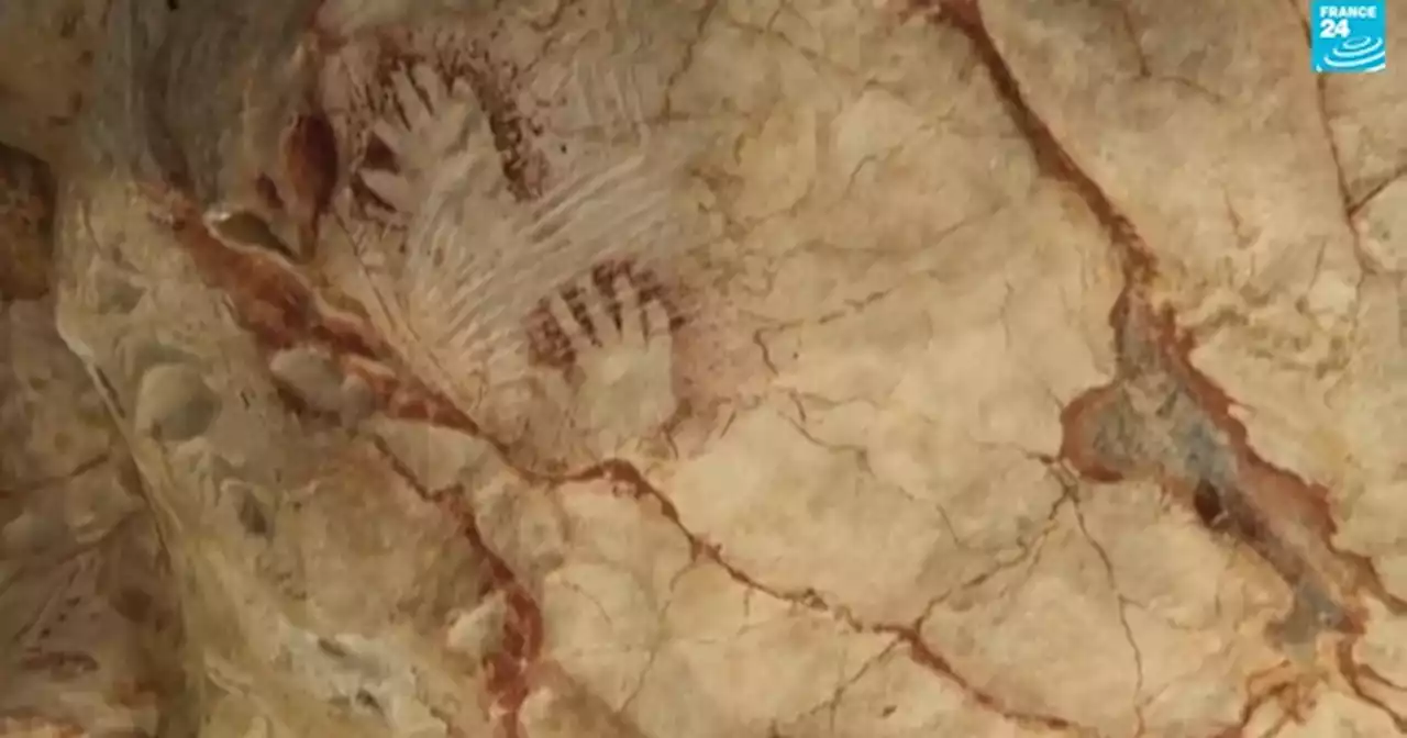 Watch Now: The race to save prehistoric cave art in France