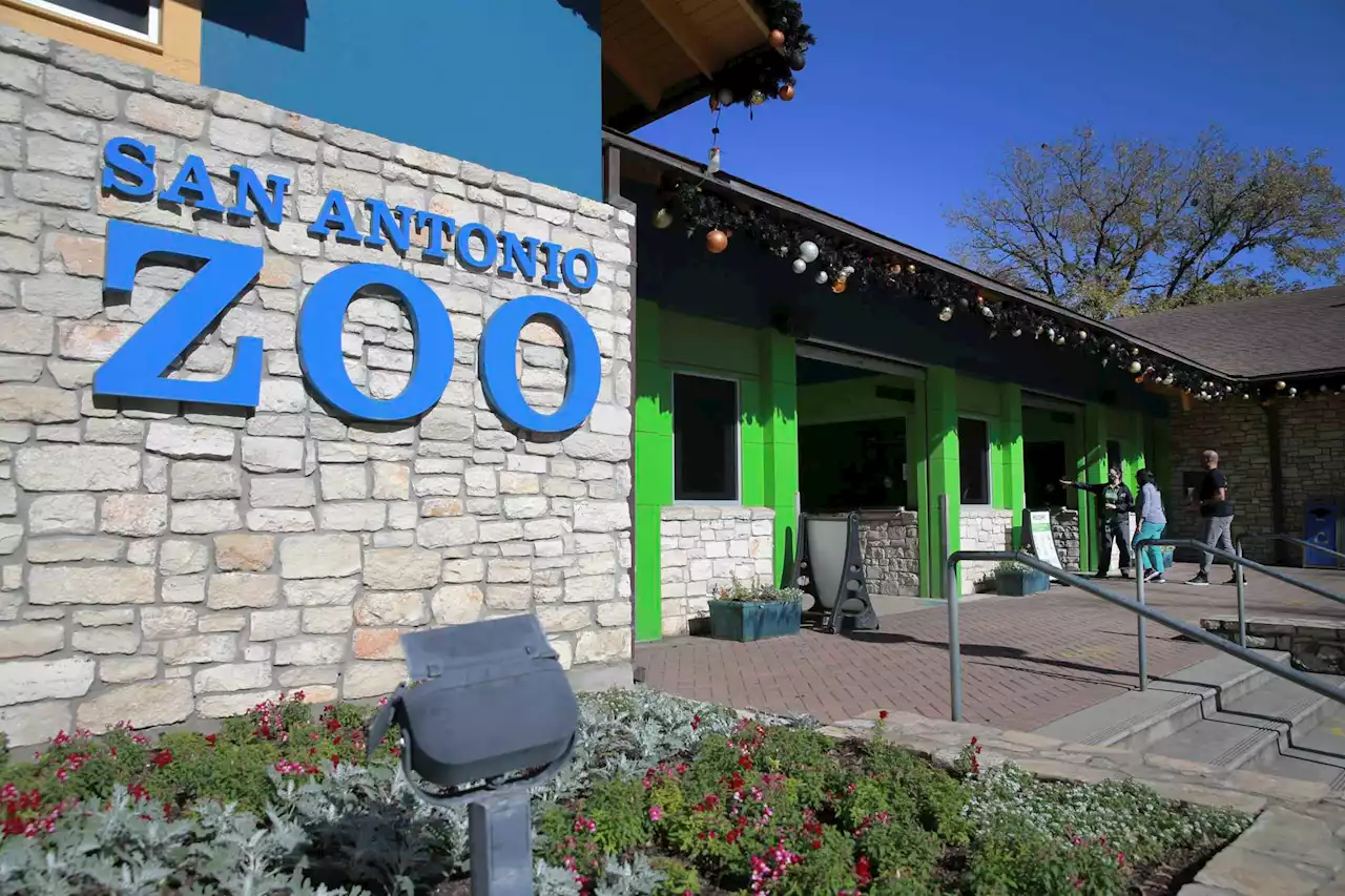 Honoring Uvalde victims, San Antonio Zoo lights garage maroon — Robb Elementary’s school color