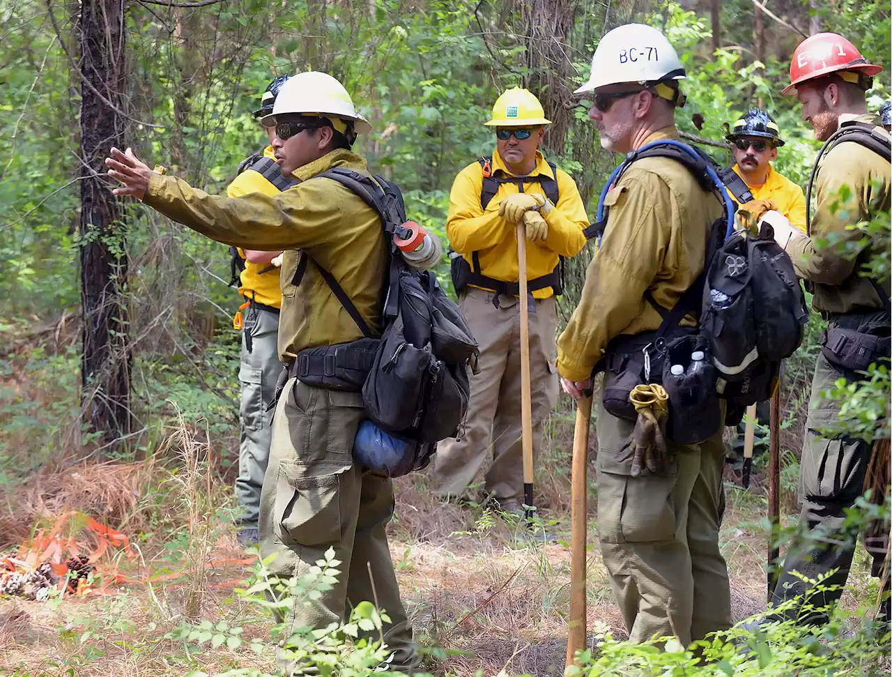 Texas A&M Forest Service provides wildland firefighting courses to firefighters