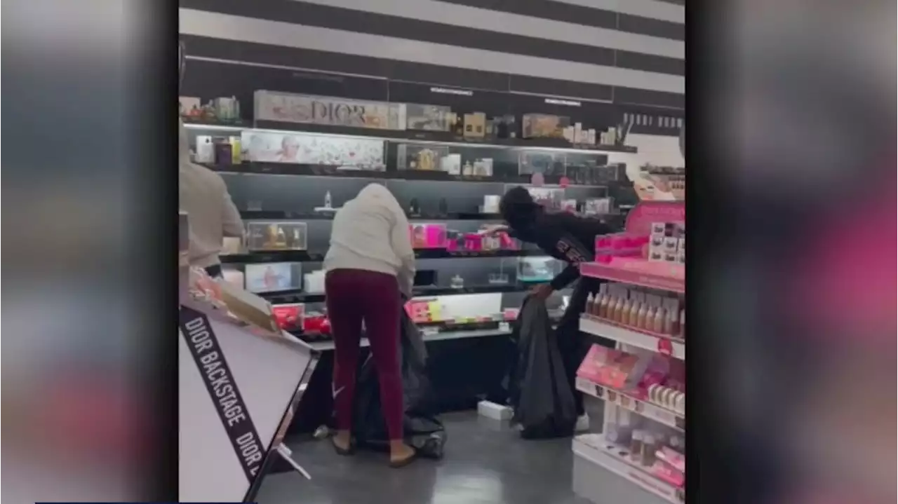 VIDEO: Brazen Sephora robbery shows thieves dumping products into garbage bags in front of shoppers