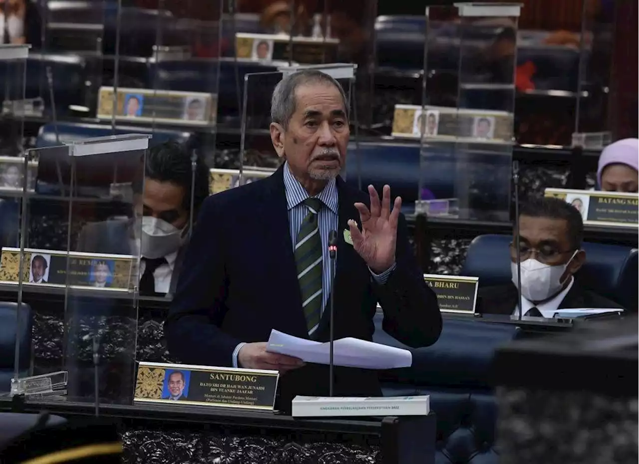 Wan Junaidi: No objection to anti-hopping law but Cabinet wants tweaks from parliamentary committee