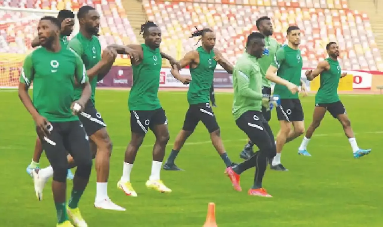 Friendly: Super Eagles target win against Ecuador in New Jersey - Punch  Newspapers