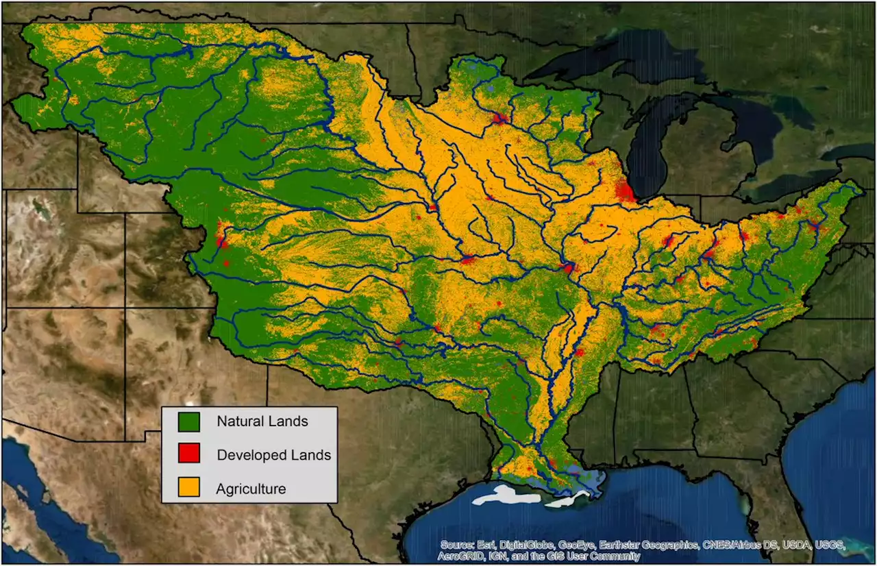 NOAA forecasts summer 'dead zone' of nearly 5.4K square miles in Gulf of Mexico | National Oceanic and Atmospheric Administration