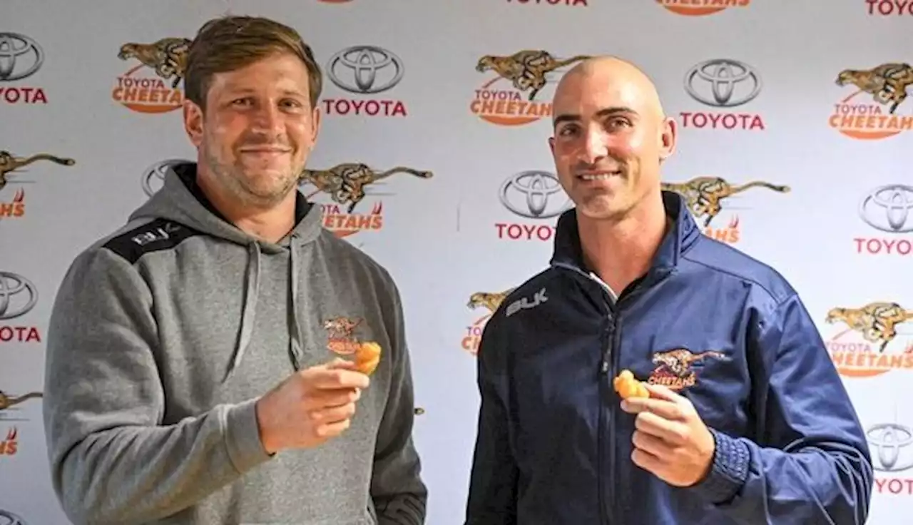 50 up for Ruan as Cheetahs ring changes
