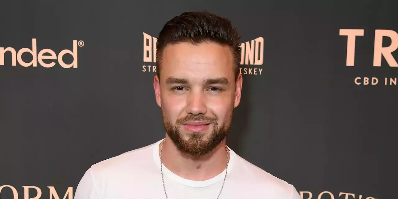 Liam Payne Responds to Backlash Over Zayn Malik Comments