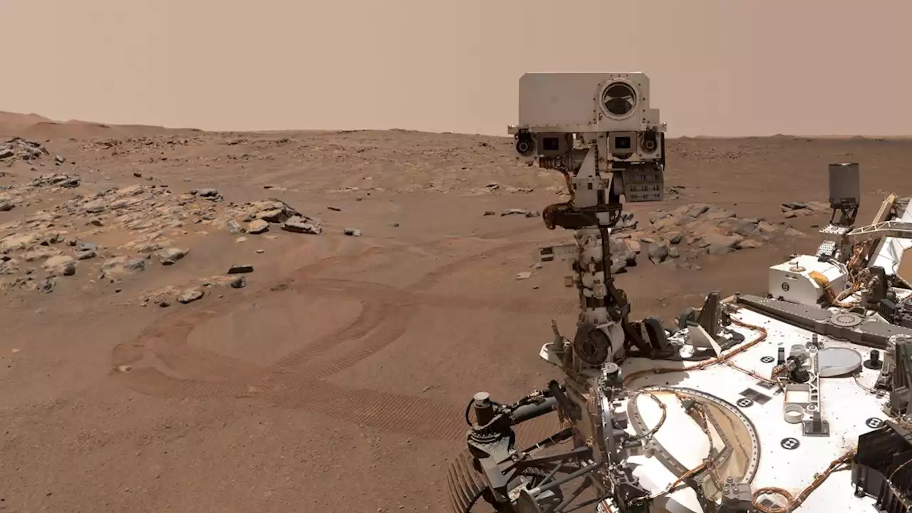 Pew pew! Perseverance rover on Mars picks its own prize rocks to shoot with laser