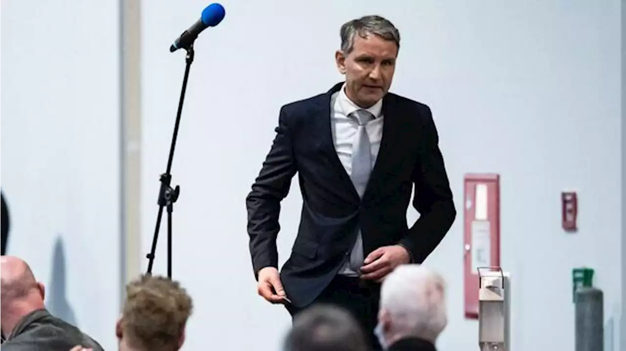 Höcke will offenbar Einzelspitze bei AfD durchsetzen