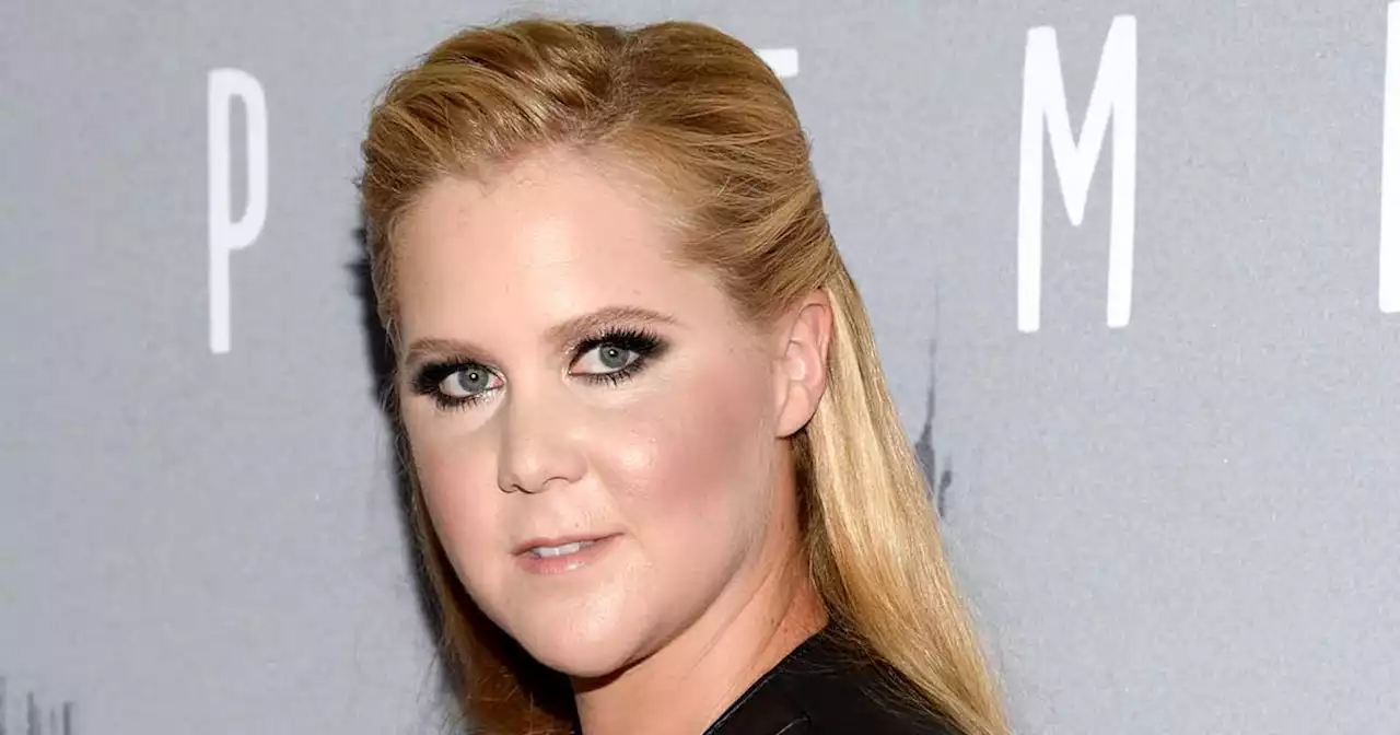 Amy Schumer's Most Controversial Moments Through the Years