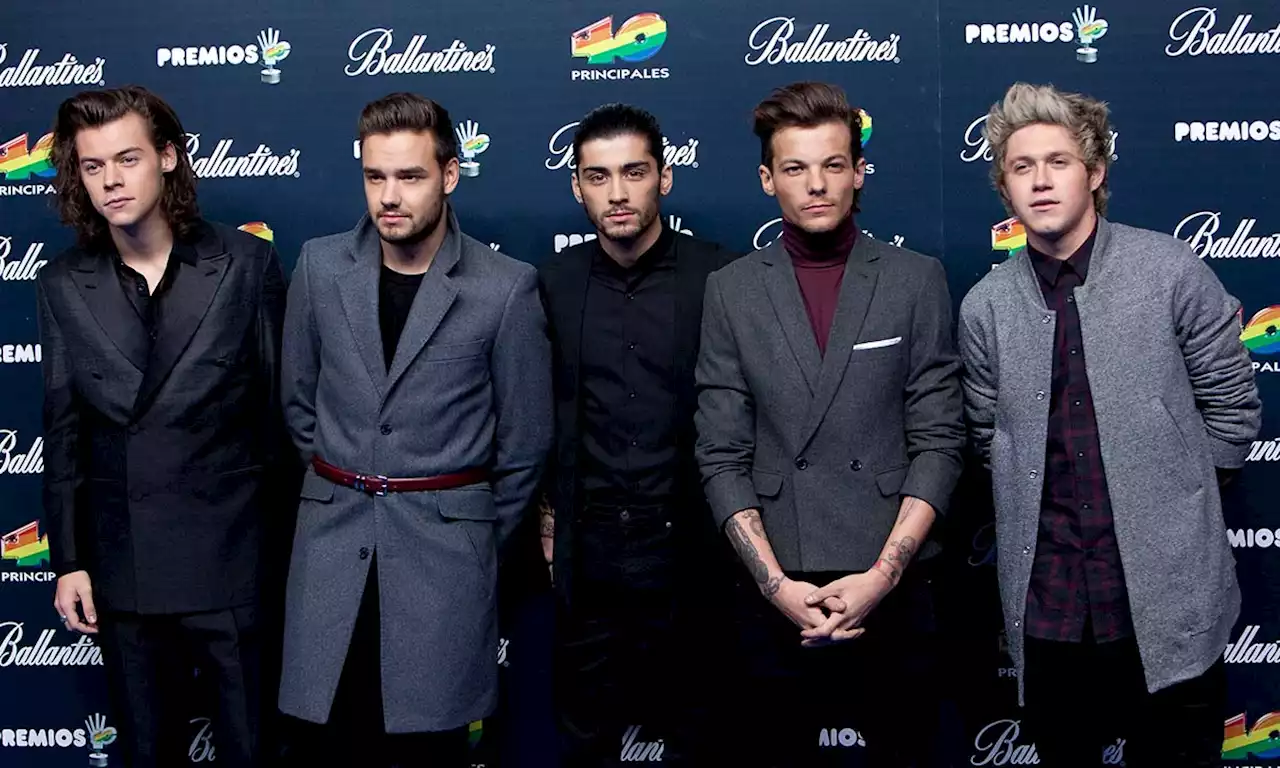 Everything Former One Direction Members Have Said About Leaving the Band